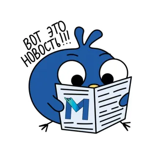 📰 ВОТ ЭТО НОВОСТЬ!!! pájaro, leyendo, periódico, azul, dibujos animados whatsapp sticker