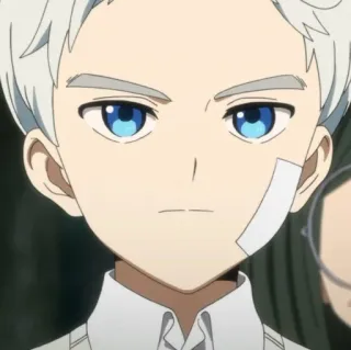 🤍 Norman The Promised Neverland Anime, Norman, The Promised Neverland, Charakter, Cartoon whatsapp sticker