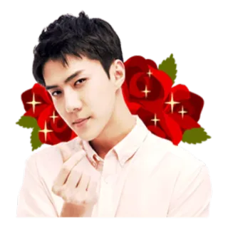 ✨ kpop, asiático, flores, rosa, coração com os dedos, idol telegram sticker