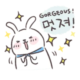 🐰 GORGEOUS!
멋져! conejo, lindo, brillante, precioso, coreano, sticker, adorable, conejo whatsapp sticker