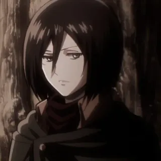 🧣 Mikasa Ackerman Attack on Titan Mikasa, L'Attaque des Titans, Anime, Personnage, Manga, AOT whatsapp sticker