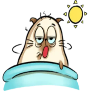 ☀️ gato, dormilón, cansado, dibujos animados, perezoso, mañana telegram sticker