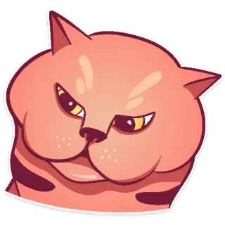 🤨 chat, en colère, grincheux, mignon, dessin animé, autocollant, animal whatsapp sticker