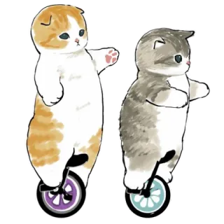 🚴‍♀ katzen, einrad, tiere, niedlich, kawaii, aufkleber whatsapp sticker
