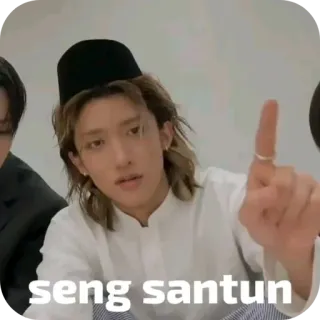 🖼 DK SEVENTEEN seng santun telegram sticker