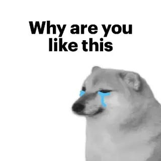 🥺 Cheems Doge memes Why are you like this cheems, doge, crying, meme, why are you like this, sad dog, reaction telegram sticker