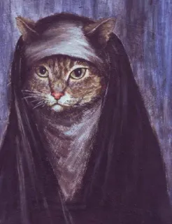 😇 cat, nun, religion, funny, pet, animal telegram sticker