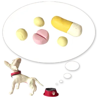 💊 dog, pills, medication, pet, dog food, veterinary, health telegram sticker