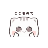 👀 gato, sticker, lindo, dedo medio, gesto ofensivo, animal telegram sticker