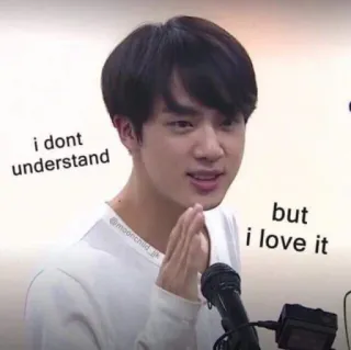 ❣️ Jin i dont understand
but
i love it meme, kpop, bts, funny, reaction, jin telegram sticker