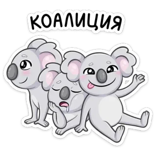 🐨 КОАЛИЦИЯ коала, мультфильм, животное, милый, коалиция telegram sticker