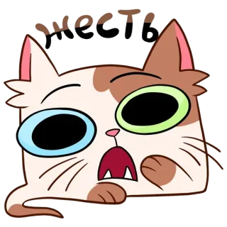 😧 WOOT! chat, dessin animé, woot, excité, animal, sticker whatsapp sticker