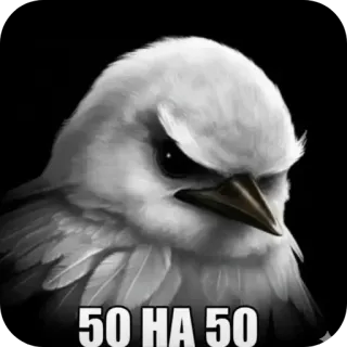 🐦‍⬛️ 50 HA 50 bird, angry, meme, mood, fifty fifty, expression telegram sticker
