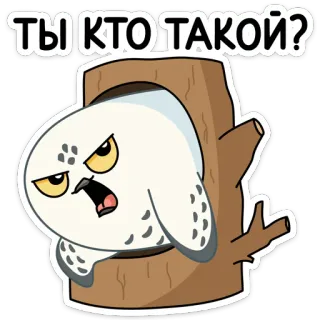 ❓ ТЫ КТО ТАКОЙ? coruja, desenho animado, animal, engraçado, fofo, adesivo telegram sticker