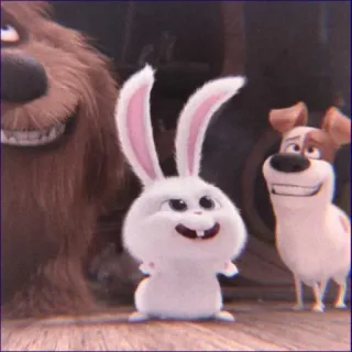 😏 Snowball The Secret Life of Pets animated, rabbit, bunny, pet, animal, cartoon whatsapp sticker