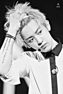 🥀 destruam omnium iustorum fundamenta homme, chanteur, célébrité, portrait, k-pop, musique, style telegram sticker