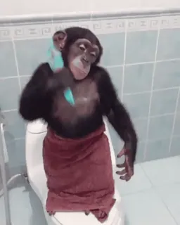 🚿 Schimpanse, Tier, Zahnbürste, Badezimmer, Primat, Handtuch, Haustier whatsapp sticker