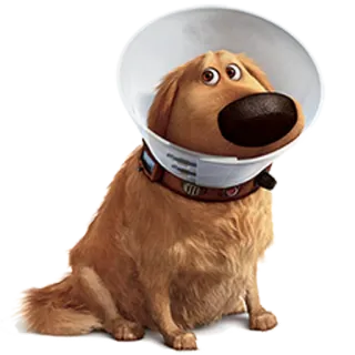 🐶 Dug Up собака, мультфильм, животное, ошейник, елизаветинский воротник telegram sticker
