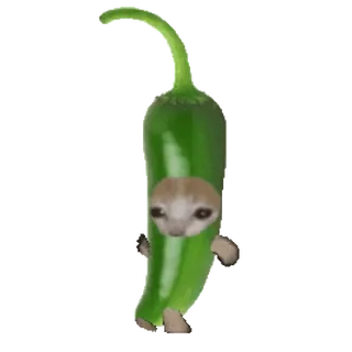 Больше стиков тут: @stikery4 telegram stickers