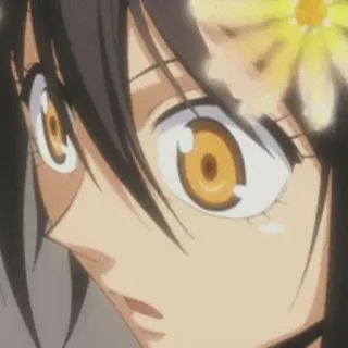 📌 telegram sticker