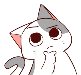 😸 แมว, คิด, อยากรู้อยากเห็น, สัตว์เลี้ยง, สัตว์, น่ารัก, การ์ตูน whatsapp sticker