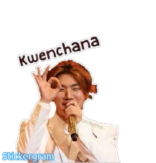 👌 Kwenchana cantante, ok, microfono, coreano, artista whatsapp sticker