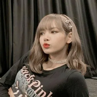 ·˚ ༘🦋 Lalisa : @ppeacha telegram stickers