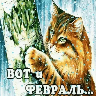 ❄️ ВОТ И ФЕВРАЛЬ... gato, inverno, neve, fevereiro, fofo telegram sticker
