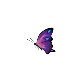 🦋 vlinder, paars, insect, natuur, lente telegram sticker