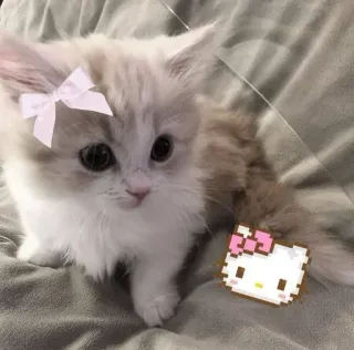 Больше стиков тут: @stikery4 whatsapp stickers