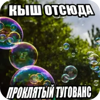 🖼 КЫШ ОТСЮДА ПРОКЛЯТЫЙ ТУГОВАНС whatsapp sticker