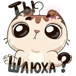 😐 Ты ШЛЮХА? gato, pregunta, animal, pegatina, dibujo animado telegram sticker
