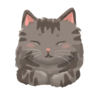 😊 gatto, carino, animale, adesivo, gattino, tigrato, animale domestico telegram sticker