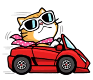 🚗 Katze, Autofahren, Auto, Sonnenbrille, Schal, Tier whatsapp sticker
