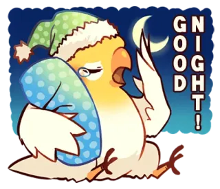 🌙 GOOD NIGHT! pássaro, papagaio, sonolento, boa noite, fofo, travesseiro, noite telegram sticker