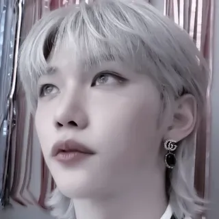 🍅 Felix kpop, idol, stray kids, felix, portret, celebryta telegram sticker