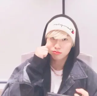 🐿 whatsapp sticker
