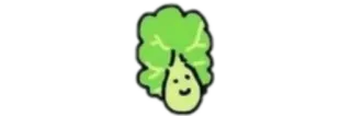 💧 lettuce, vegetable, food, cute, sticker whatsapp sticker