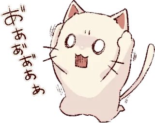 😱 ああああああ cat, anime, surprise, kawaii, sticker telegram sticker