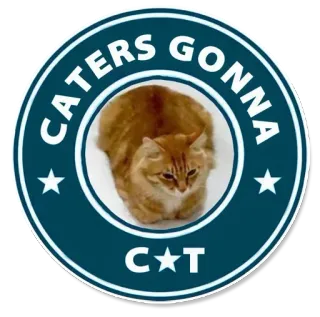 Caters Gonna Cate whatsapp stickers