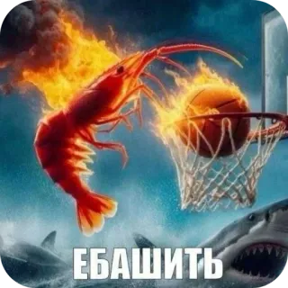 🦐 ЕБАШИТЬ shrimp, basketball, shark, flames, sports, offensive slang, humor telegram sticker