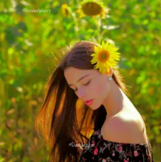 ⭐ chica, girasol, retrato, mujer, naturaleza, flor telegram sticker