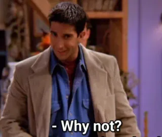 🔲 Ross Geller Friends Why not? Fernsehsendung, Sitcom, Friends, Ross, Meme whatsapp sticker