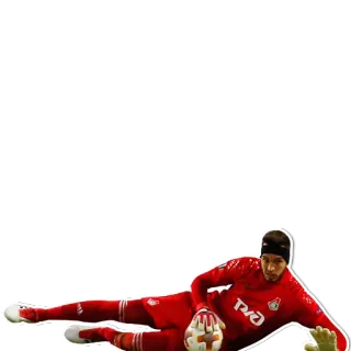 🤚 サッカー, ゴールキーパー, スポーツ, サッカー, アスリート telegram sticker