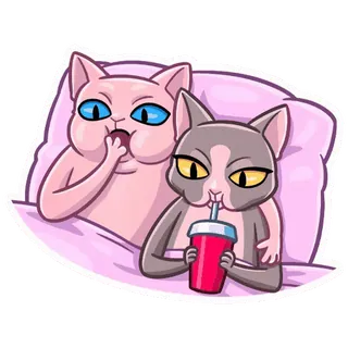 🧃 koty, napój, słodkie, zwierzęta, para whatsapp sticker