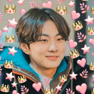 🥰 kpop, น่ารัก, ดาว, หัวใจ, มงกุฎ, ใบไม้ telegram sticker