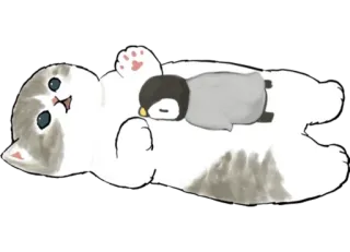 🐧 cat, penguin, cute, animal, kitten telegram sticker