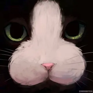 🌟 gato, mascota, animal, lindo, ojos, nariz, gatito, gatito telegram sticker