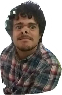 🐷 Mann, Porträt, Gesichtsausdruck, Person, kariertes Hemd telegram sticker