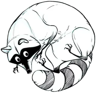 🌀 raccoon, animal, cartoon, cute, wildlife telegram sticker